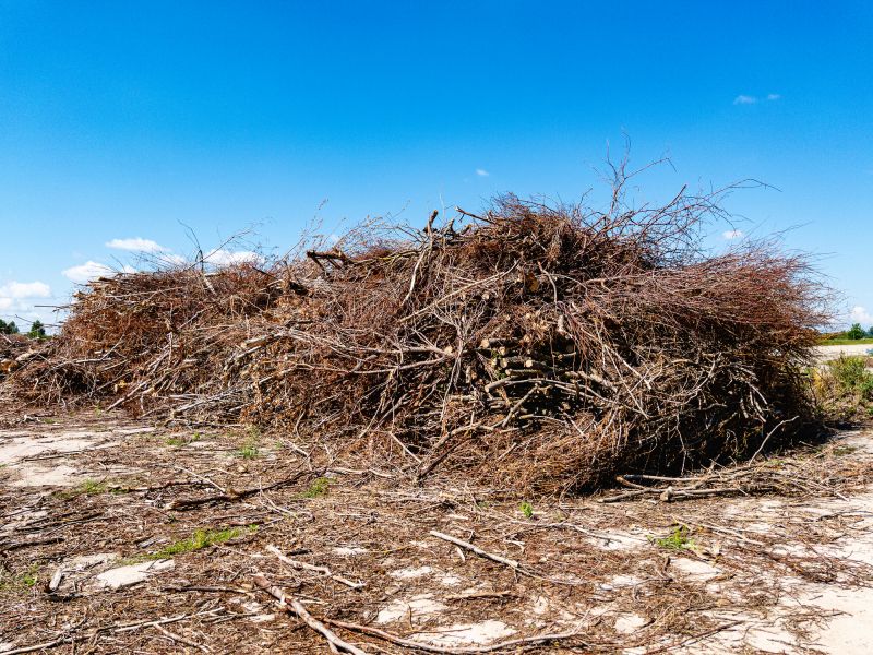 Brush Clearing and Debris Removal