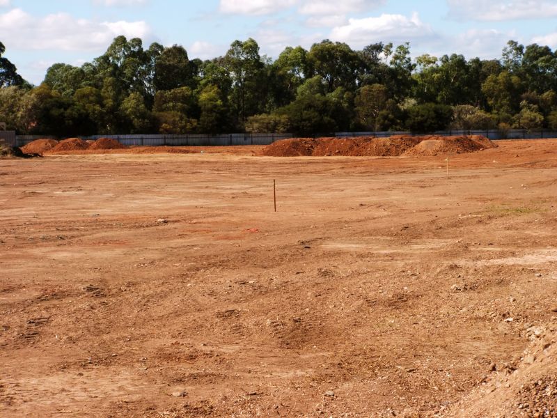 Finished Land with Landscaping