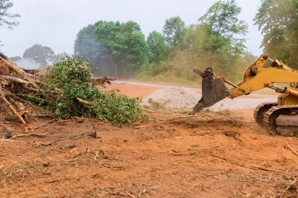 Ground Clearing in Blue Springs