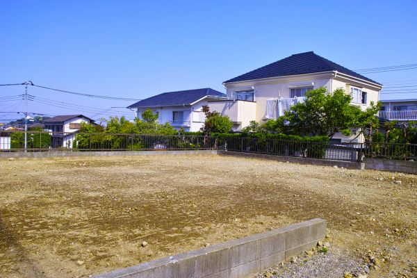 Cost of Lot Clearing Service in Blue Springs