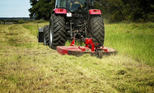 Brush Clearing Service in Blue Springs