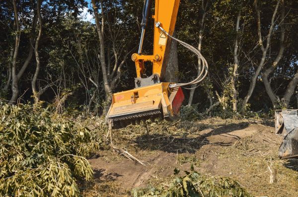 Brush Removal Service in Blue Springs