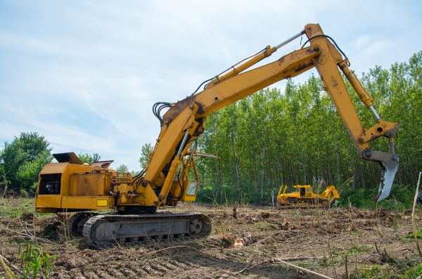 Cost of Farm Clearing in Blue Springs