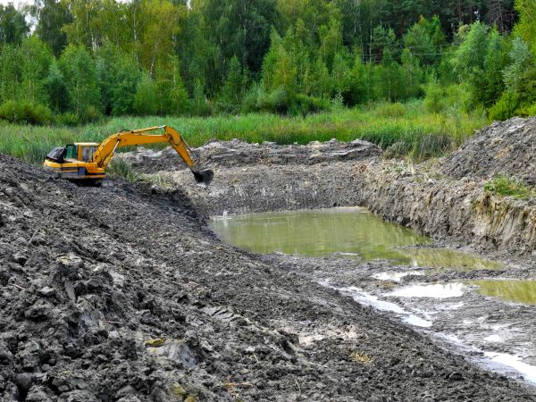 Cost of Lake Lot Clearing in Blue Springs