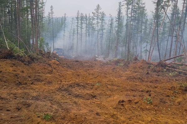 Cost of Hill Clearing in Blue Springs