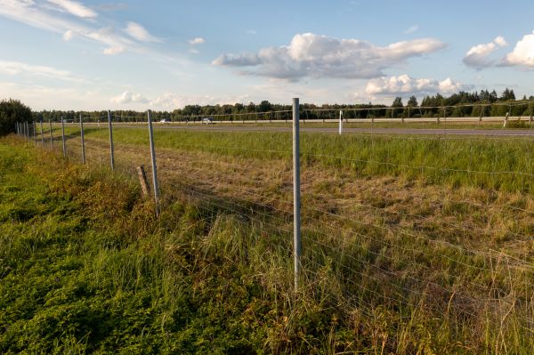 Cost of Property Line Clearing in Blue Springs