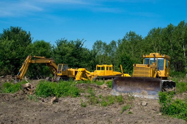 Cost of Bulldozer Clearing in Blue Springs