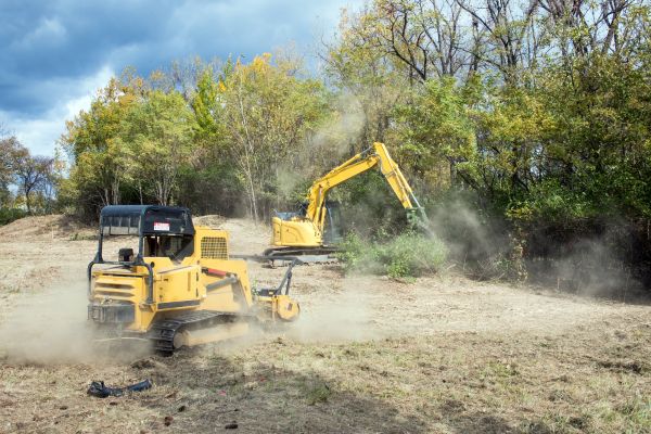 Cost of Terrain Clearing in Blue Springs
