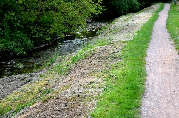 Cost of Trail Cutting in Blue Springs
